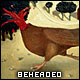 drewood66's Avatar